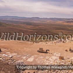 Thomas Wiewandt / Wild Horizons