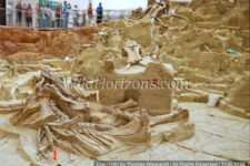 Bonebed at the Mammoth Site & Museum in Hot Springs, South Dakota, USA. This is an active paleontological excavation and research site. The building encloses a prehistoric sinkhole that formed and was slowly filled with sediments during the Pleistocene era. The sedimentary fill of the sinkhole contains the remains of Pleistocene fauna and flora preserved by entrapment and burial within a sinkhole. This site has the greatest concentration of mammoth remains in the world. As of 2016, the remains of 61 mammoths, including 58 North American Columbian and 3 woolly mammoths had been recovered, along with the bones of camels, wolves, and giant short-faced bears.