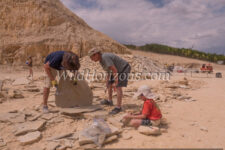 FossilSafari.com visitors searching for fossils at Fossil Safari Quarry owned by Warfield Fossils, an educational vacation experience for adults and children. Shown in this photo are three generations of the Oldenburg family, from Georgia: Gordon Sr., Gordon Jr., and James, age 6. Site of an ancient lakebed of Eocene age in the Green River Formation near Kemmerer, Wyoming, USA. Model releases available for all people shown in this series of photos.